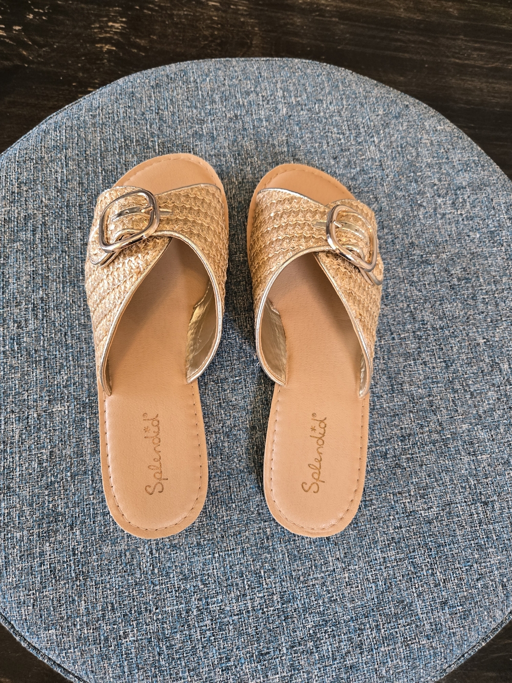 Splendid Sandy Light Gold Braided Slide Sandals with Decorative Buckle - Picture 3 of 9